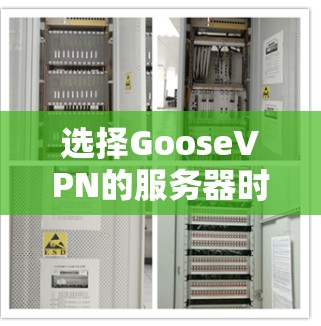 选择GooseVPN的服务器时,您可以根据您的需求和使用场景来决定。以下是一些可能影响您的选择的因素和建议 选择GooseVPN的服务器时,您可以根据您的需求和使用场景来决定。以下是一些可能影响您的选择的因素和建议