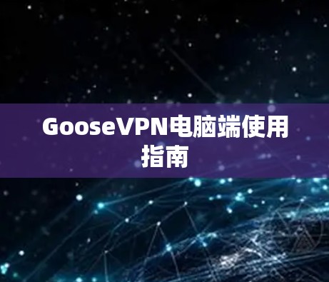 GooseVPN电脑端使用指南 GooseVPN电脑端使用指南