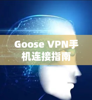 Goose VPN手机连接指南 Goose VPN手机连接指南