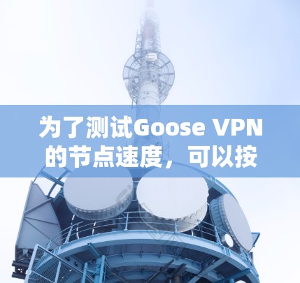 为了测试Goose VPN的节点速度,可以按照以下步骤进行 为了测试Goose VPN的节点速度,可以按照以下步骤进行