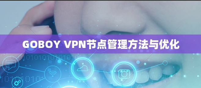 GOBOY VPN节点管理方法与优化