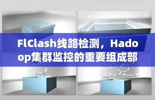 FlClash线路检测，Hadoop集群监控的重要组成部分