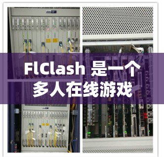 FlClash 是一个多人在线游戏，具体类型可能因地区或平台而异。如果你指的是某个特定的游戏（如FlClash或其他类似的游戏）请提供更多的信息以便我更好地帮助你