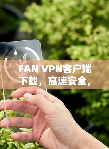 FAN VPN客户端下载，高速安全，畅流无忧