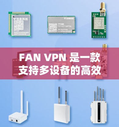 FAN VPN 是一款支持多设备的高效 VPN 服务，用户可以通过其官方客户端在 iOS 设备上轻松使用。以下是使用 FAN VPN 在苹果设备（iOS）的步骤