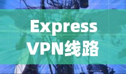 ExpressVPN线路质量测试，性能与隐私评估