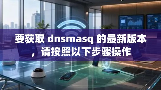 要获取 dnsmasq 的最新版本，请按照以下步骤操作